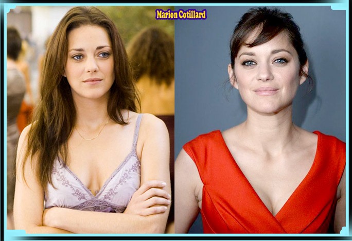 Marion Cotillard Height, Weight, Age, Bio, Body Stats, Net Worth & Wiki