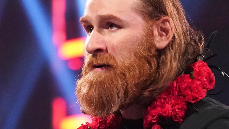 Sami Zayn Height, Weight, Age, Bio, Body Stats, Net Worth & Wiki